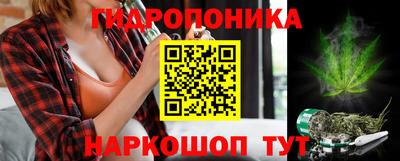хмурый Гай