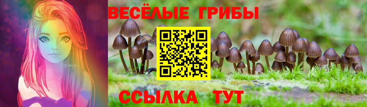 Первоуральск  Псилоцибиновые грибы Magic Shrooms  закладки  Галлюциногенные грибы мухоморы  Вход с VPN 
